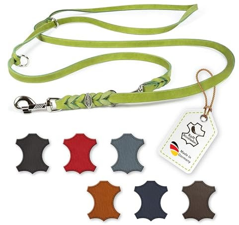 CopcoPet Guinzaglio per cani in pelle grassa, 5 m x 10 mm, verde, 3 posizioni, intrecciato, con raccordi cromati – Impugnatura, robusto, corda a tracolla per cani di piccola taglia, ideale per