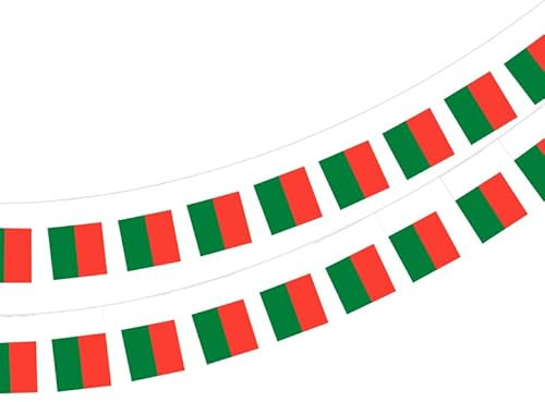 Drapeau Madagascar 40 pièces, guirlande Madagascar 11,4 m, fanions Madagascar 14 x 21 cm pour décorations de bar