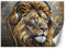 Feeby - 3d Tapete - 150x105cm - Fototapete Schlafzimmer - Musik Löwe Tiere - Deko Wohnzimmer - Wallpaper - Wand Deko - Wandtapete - Wandbild XXL - Tapete - Wanddeko - Vliestapete - Wandbilder