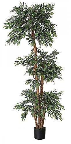 Artificial Tiered Ficus Tree - 1.5m or 1.8m high - Stunning Faux Tree ideal for Home or Office - Real Wood Trunk