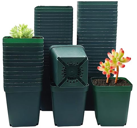 80-Pack 3.54 Green Square Plastic Nursery Succulent Flower Grow Pots 80pcs/Pack (9cm 80pcs Green)