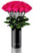 EG EMMIE GRAY Classic Vase Set | Long Stem Infinity Rosen inklusive schwarzer Glasvase - Luxuriöser Rosenstrauß aus echten Premiumrosen, die 1-3 Jahre halten, haltbare Rosen (Hot Pink, 15 Rosen)