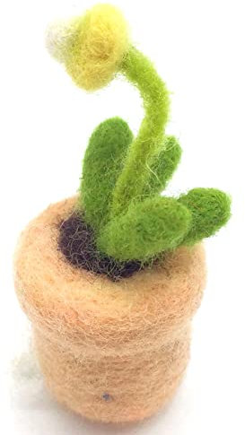 Kaktus Filzset Filzwolle Set für Anfänger Geschenk für Mama, Oma (F)