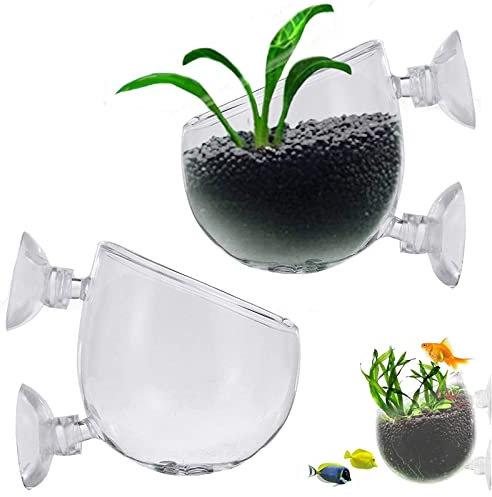 2 pièces Pot de Fleurs pour Aquarium, Support de Plante d'Aquarium avec Ventouse, Pot de Tasse en Verre de d'Aquarium, Pots De Plantes Décorations Fish Tank, pour Aquascape Aquarium