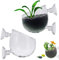 Lwtsrp 2 Piezas Maceta de Vidrio para Plantas, Planta De Acuario Macetas De Copa, Macetas de Hierbas de Agua, Soporte para Plantas de Acuario, Mini Plantas Transparentes Titulares