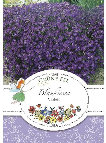 Grüne Fee - Blaukissen Violett Samen - 13190