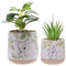 Widdop Disney Forest Friends Set of 2 Bambi Planters - Indoor Usage