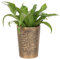 Something Different Wholesale LisaParker Arbre de Vie Mystique Pot de Fleurs en Terre Cuite Symbole Spirituel Bronze Jardinière pour Croissance et Renaissance, Pot Effet Bronze Antique
