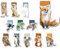 Magnetische Lesezeichen,12 Stück Lesezeichen Magnetische,Süsse Tiere Magnet Lesezeichen, Magnetische Seiten Markierungen für Schüler, Junge, Mädchen, Buchliebhaber-DW001