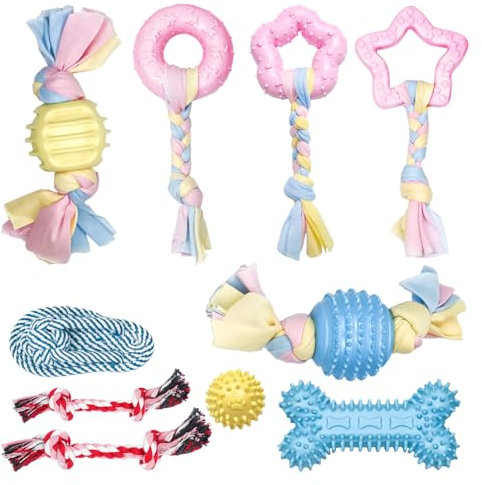 Episkey 10 Pezzi Giocattoli da Masticare per Cani, Set di Giocattoli da Masticare per Cani, Giocattoli da Masticare in Corda per Pulire i Denti per Cuccioli di Cani Piccoli e Medi (H01)