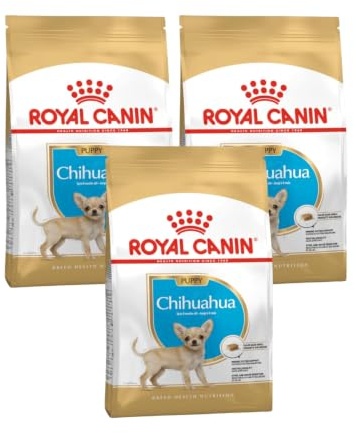 Chihuahua Puppy | Trockenfutter für Welpen | 3 x 500 g | Bis zum 8. Monat | Royal Canin | Alleinfuttermittel | Für die tägliche Versorgung im Wachstum | Angepasste Kroketten | 3er Pack