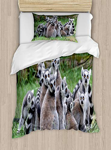 ABAKUHAUS Lemur Bettbezugs Set für Einzelbetten, Ring angebundene Madagaskar AFFE, Milbensicher Allergiker geeignet mit Kissenbezug, 130 x 200 cm, Taupe