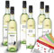 Käfer Probierpaket Weißwein, gemischtes Weinpaket + VINOX Winecards (6x0,75l)