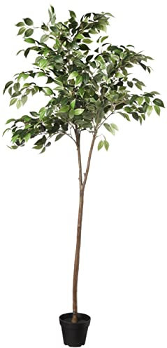 Amazon Basics Artificial Ficus Tree Fake Plant with Plastic Planter Pot, 63, Green