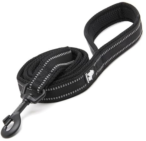 Truelove Reflective Padded Nylon Dog Training Lead, Black, L(200cm) | Alloy Swivel Hook, Ergonomic Padded Grip, Tear Resistant Webbing, Reflective Night Strap, All Dog Breeds, Walking & Training