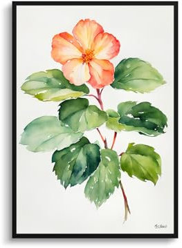 Mrs Henri's Begonia Minimalist Art Print Watercolour Botanical Framed Wax semperflorens Wall Art Poster