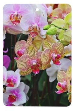 Duftender Auto-Lufterfrischer mit Orchideen-Druck, Auto-Parfüm mit Lavendelduft, langlebig und praktisch