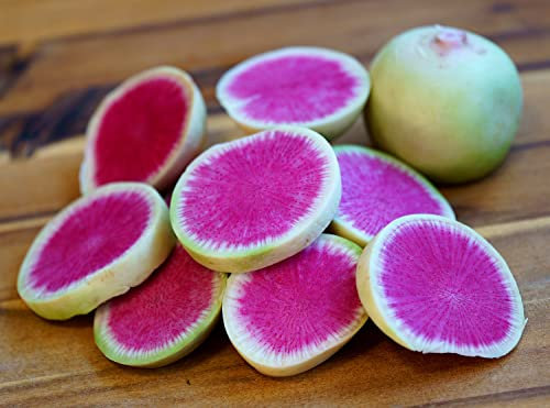 Radieschen Wassermelone - Raphanus sativus - 120 Samen