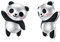 WINNICACA Panda Ohrringe Ohrstecker S925 Sterling Silber Panda Schmuck Geschenke für Mädchen Frauen