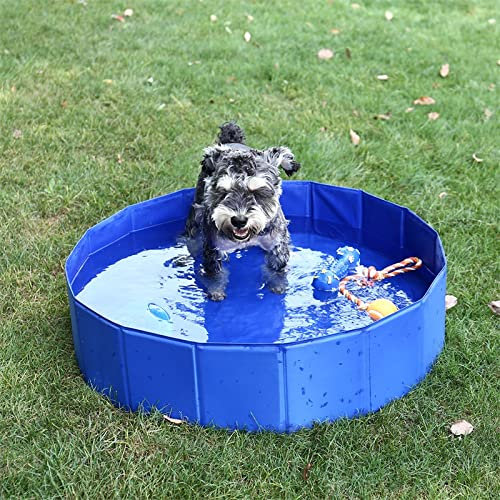 Zusammenklappbarer Hunde-Badepool Haustier-Schwimmbad Tragbarer Pool für Katzen, Hunde (M)