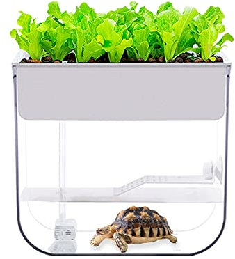Habitat des Tortues Réservoirs de Tortues avec terrasses, réservoirs spéciaux pour élever des Tortues, Aquariums pour élever des Tortues, Tortues vivantes, réservoirs d'eau et de t