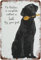 Black Lab Aluminium-Blechschild mit Aufschrift No Kitchen Is Complete Without A Lab By Your Feet, Wandkunst, Dekorationen, Eisen, Gemälde für Zuhause, Zimmertür, Zubehör, Poster,