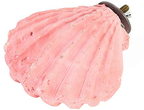 Edible Calcium Clam Parrot Perch - Small