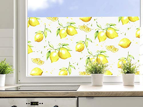 GRAZDesign Fensterfolie Küche Blickdicht Zitronen Motiv Sichtschutzfolie selbstklebend - 70x57cm / Zitronen