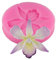 AMOYER Orchid-Silikon-Form-Harz-Polymer Clay Moulds Kuchen Fondant Kuchen, der Werkzeuge Süßigkeit Schokolade Zuckermasse Mold