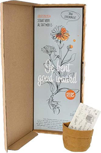 BloomPost You are golden - Sementi Fiore Calendula - 250 gr - Compreso mini 'borsa in pelle' alla moda e tablet a terra - Con istruzioni per la semina