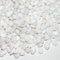 FANTIAN 0.9 kg White Pebbles for Potted Plants, 6-9 mm Polished White Gravel, Decorative Stones for Succulents Vase Cactus Bird Bath and Outdoor Garden Landscaping