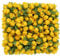 MWOOT 144Pcs Mini Roses Artificial Flower Heads, Yellow Plastic Rose Buds with Stems for Crafts, Small Fake Roses for DIY Valentine's Day Wedding Bouquet Festival Decoration, Tiny Faux Flower Heads