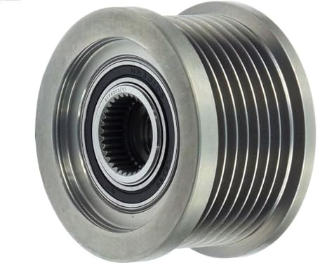 Brand new AS-PL Premium quality Alternator Freewheel pulley - AFP6005(V)