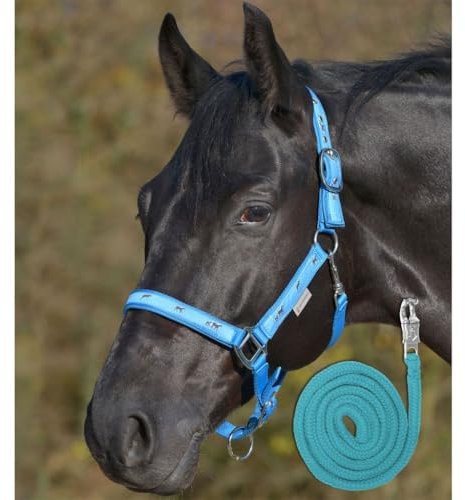 WALDHAUSEN Pferdchen Halfter im Set mit passendem Strick Größe: WB Farbe: azurblau