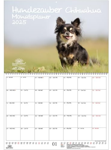 Hundezauber Chihuahua Planer DIN A2 Kalender für 2025 Hunde Welpen - Set: 1x Kalender 1x Weihnachtsanhänger 1x Grußanhänger (gesamt 3 Teile)