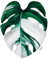 Outentin Blumenkissen, Sofakissen für Wohnzimmer & Kinderzimmer, Deko Sitzkissen mit Blumenform, Ästhetisches Blumenbodenkissen, Kuschelkissen für Mädchen, 40 x 40 cm (Monstera Variegata)
