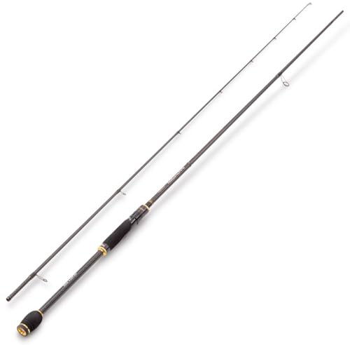 Hearty Rise Jigrute zum Gummifischangeln auf Barsch, Zander & Hecht 2,39m 10-45g Innovation Rute