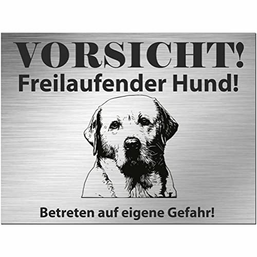Indigos UG - Schild Labrador - bedruckt - Vorsicht Freilaufender Hund - Aluverbundplatte Edelstahl Look - 20x15 cm - Spruch - Deko Geschenkidee für Ihren Hund - Zaun - Türschild - Hinweisschild