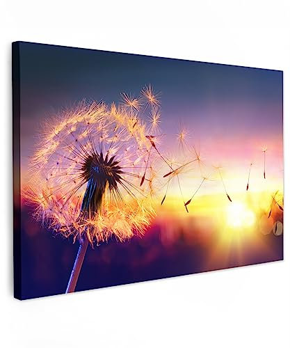 MuchoWow© Wandbilder Groß 120x80 cm XXL Schlafzimmer Home Deko Wohnung Bild Wohnzimmer Fotoleinwand Wand Bilder Leinwand Wall Decor Natur - Löwenzahn - Blumen - Sonnenuntergang - Pusteblume - Nacht