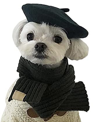 MuYaoPet Hund Katze Baskenmütze Wolle Stirnband Französische Künstler Beanie Barett Haustier Hund Weihnachten Kostüm Haarschmuck Foto Requisiten (schwarz, Einheitsgröße)