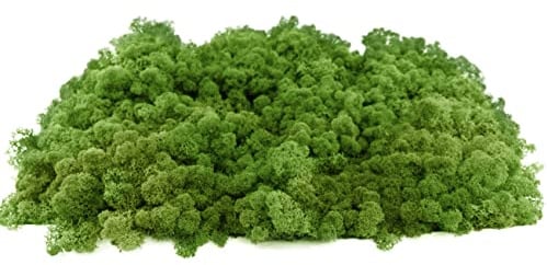 INMO Moos - Islandmoos echtes Natur Moos konserviert 40g Waldgrün. Dekomoos zum Basteln, Moosbild, Wand-Bilder, Wanddeko, Modellbau weitere Farben und Mengen zur Auswahl 40g - 500g 1 KG - 4 KG