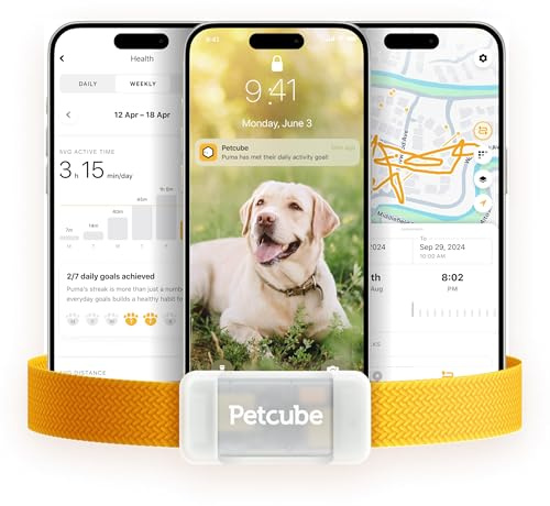 Petcube GPS Tracker for Dogs | Pet GPS Location Tracker with Escape Alerts and Virtual Fences, Activity and Wellness Monitoring, Glows in a Dark, Water and Dust Proof
