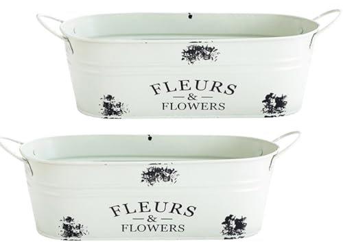 BESPORTBLE 2piezas Maceta Vintage De Metal Macetero Ovalado Decorativo para Flores y Suculentas para Jardín y Decoración Interior