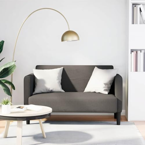 ROMHZKS Zweisitzer Sofa Cord Stoff mit Schaumstoff und Federung für Wohnzimmer, Robustes Gestell aus Sperrholz, Bequemes Sitzgefühl, Langlebiges Design, Einfache Pflege, Moderner