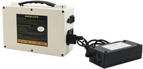 SSCYHT 48V 24V 12V Lithium Ion Battery 40AH 30AH 20AH 15AH 12AH Rechargeable Battery Large Capacity Portable Li-ion Battery with Charger,24V 20AH
