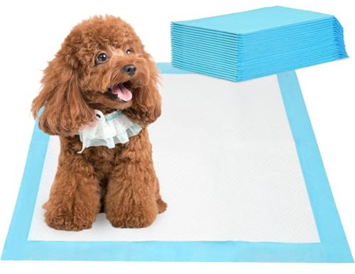 Barpor Alaise pour Chien 60x60cm - Aleses Jetables pour Chien 20 Pièces, Tapis de Propreté Chien Tapis pour Chiot Anti-Fuite, Super Absorbants, Design à 5 Couches avec Surface à Séchage Rapide
