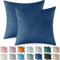 Ystyle Federe Cuscini Divano 45x45 2 Pezzi, Federa Cuscino in Velluto, Copricuscino Divano Lavabili e Resistenti Anallergico Antiacaro e Traspirante con Cerniera Nascosta, Blu Scuro
