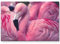 Paul Sinus Art Leinwandbilder | Bilder Leinwand 120x80cm pinker Flamingo