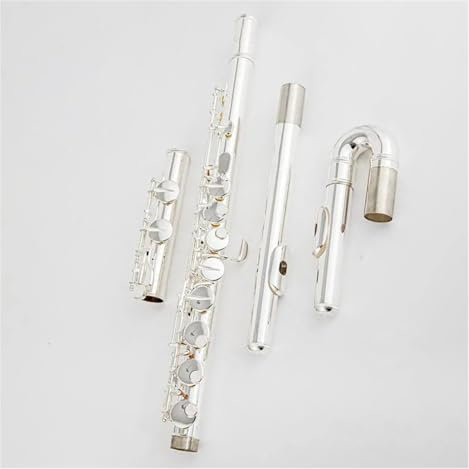 Professionelle Querflöte Altflöte, 16 Löcher, Geschlossenes Loch, G-Ton, Versilberte Tasten, Flöte, Musikinstrument Mit Koffer