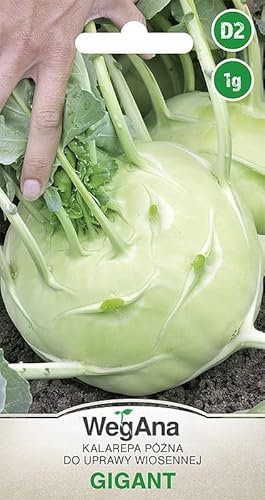 WegAna Gigant Kohlrabi Samen 1g Saatgut, Robuste Gemüsesamen, Gemüse Samen, Samen Anzucht